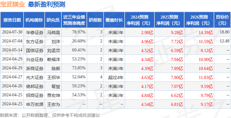 民生证券：给予宝武镁业买入评级