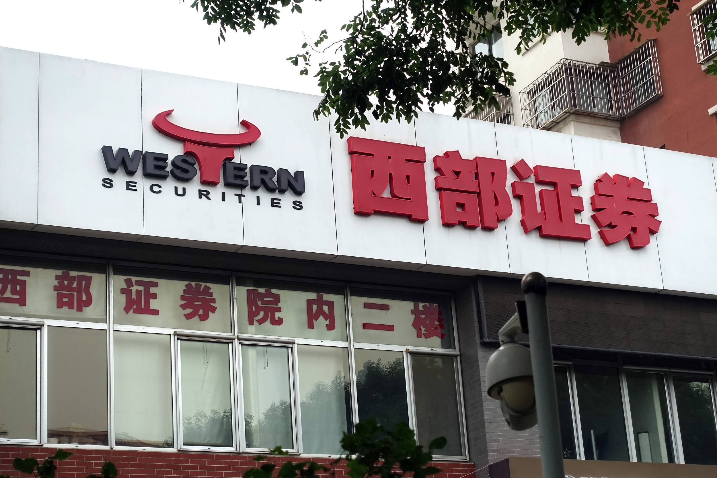 西部证券账号(西部证券账号可以登录东方财富吗)