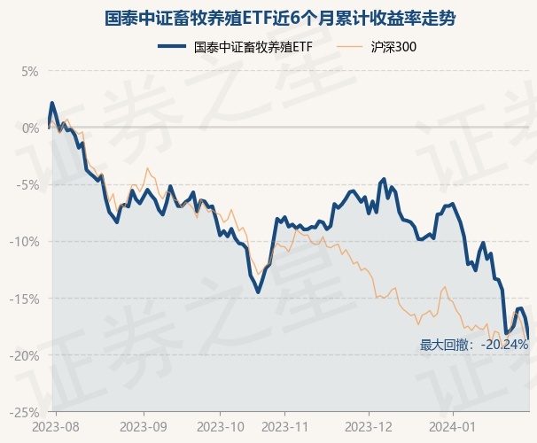 国泰证券股票(国泰证券股票代码查询)