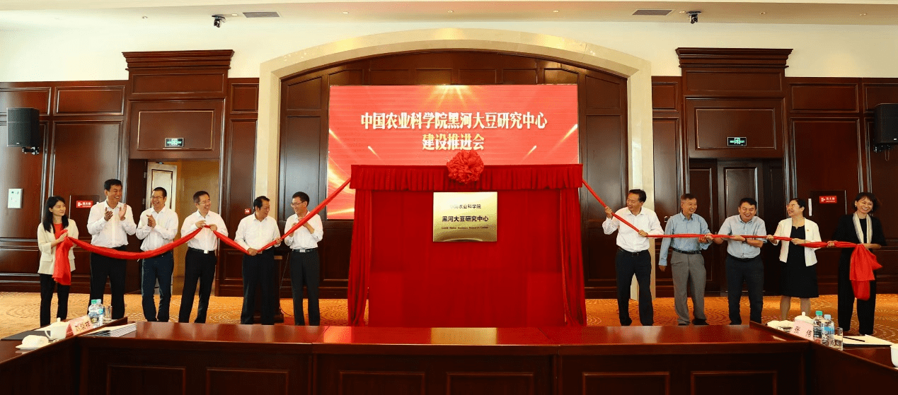 山东证券报(山东证券报隶刘大明)