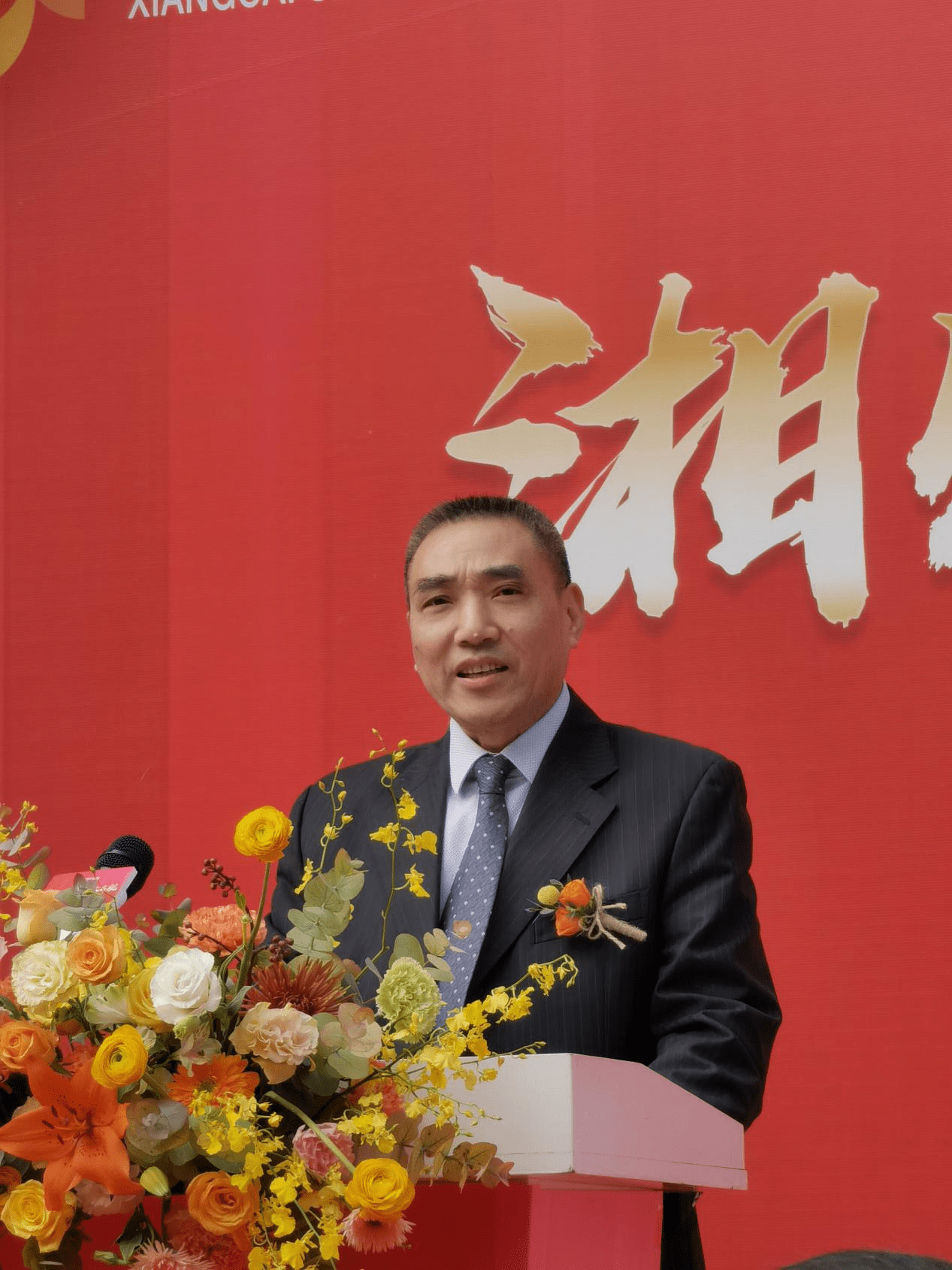 湘财证券新湖(新湖系背后的湘财证券)